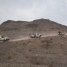 القوات المسلحة الجنوبية تحبط محاولة تسلل لمليشيا الحوثي الإرهابية شمال لحج