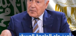 أمين عام الجامعة العربية: توافق السعودية ومصر يؤدي إلى تغيير جوهري في الوضع العربي
