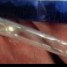 شرطة محافظة شبوة” تضبط شخصين بحوزتهم امبولات زجاجية وبلاستيك تستخدم في تعاطي مادة الشبو المخدر بمدينة عتق